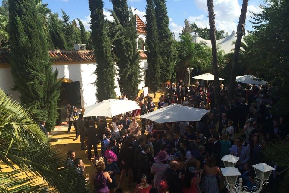Hacienda Rosa de Valme