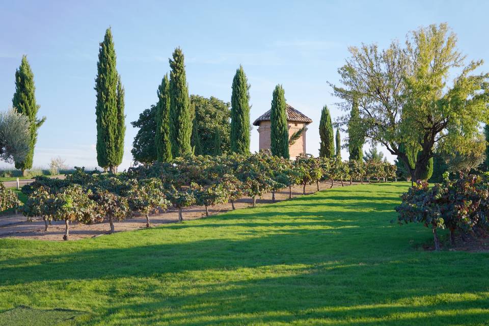 Bodegas y Viñedos Casa del Valle By Oleanto