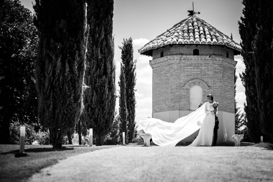 Bodegas y Viñedos Casa del Valle By Oleanto