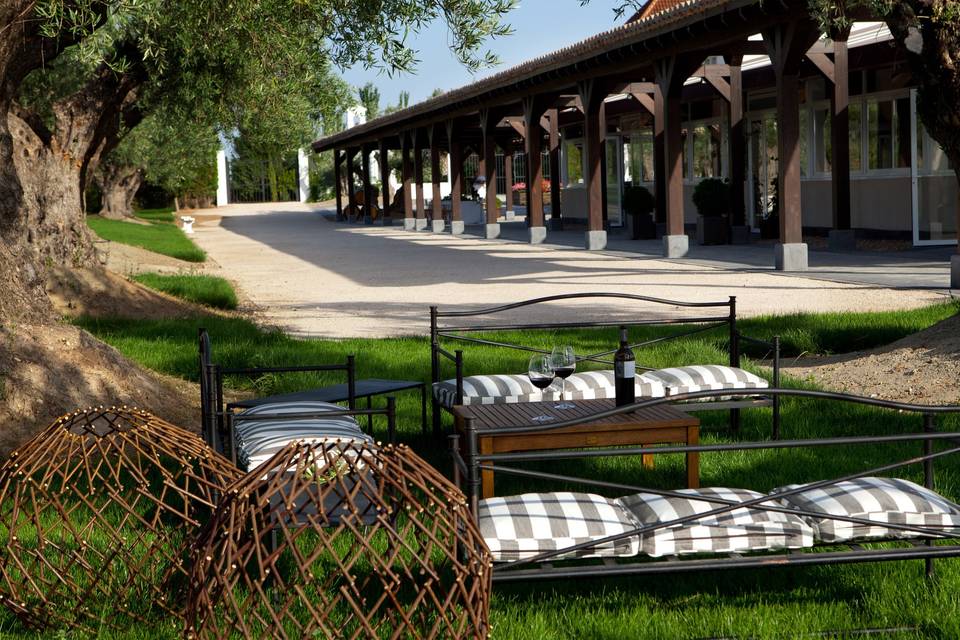 Bodegas y Viñedos Casa del Valle By Oleanto