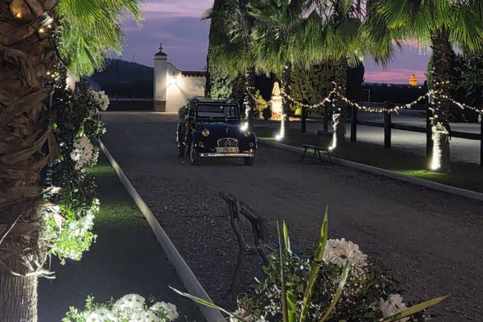 Entrada