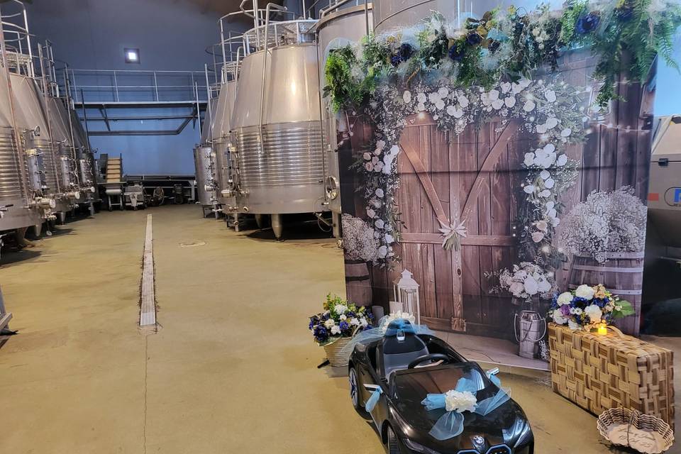 Decoración y alquiler coche in
