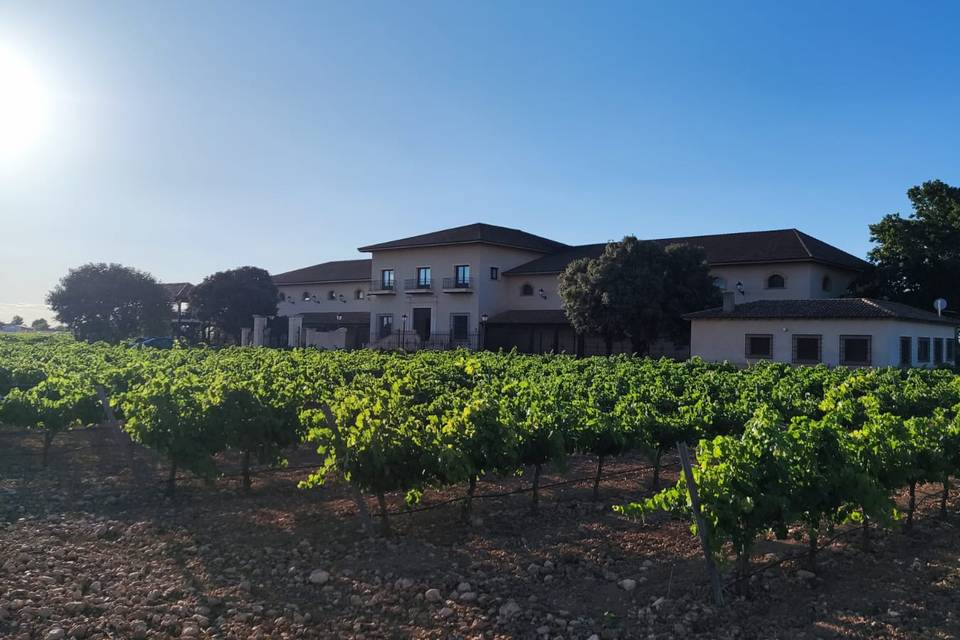 Bodegas Olcaviana