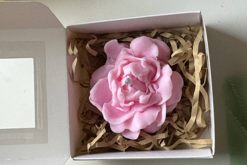 Gardenia