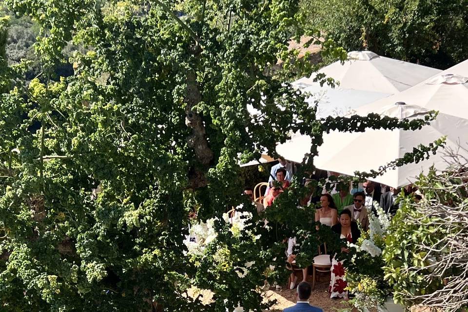 BODA MIHRUMANA & PIETER