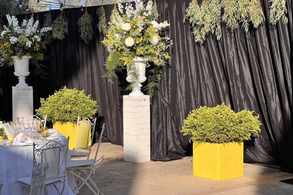 BODA MIHRUMANA & PIETER