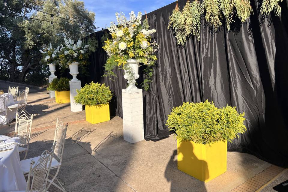 BODA MIHRUMANA & PIETER