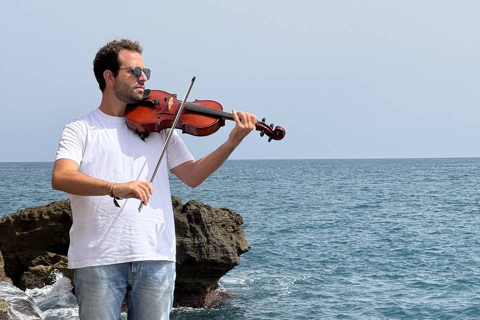 Viola