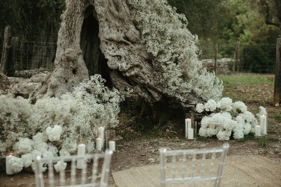 Decoración de ceremonia