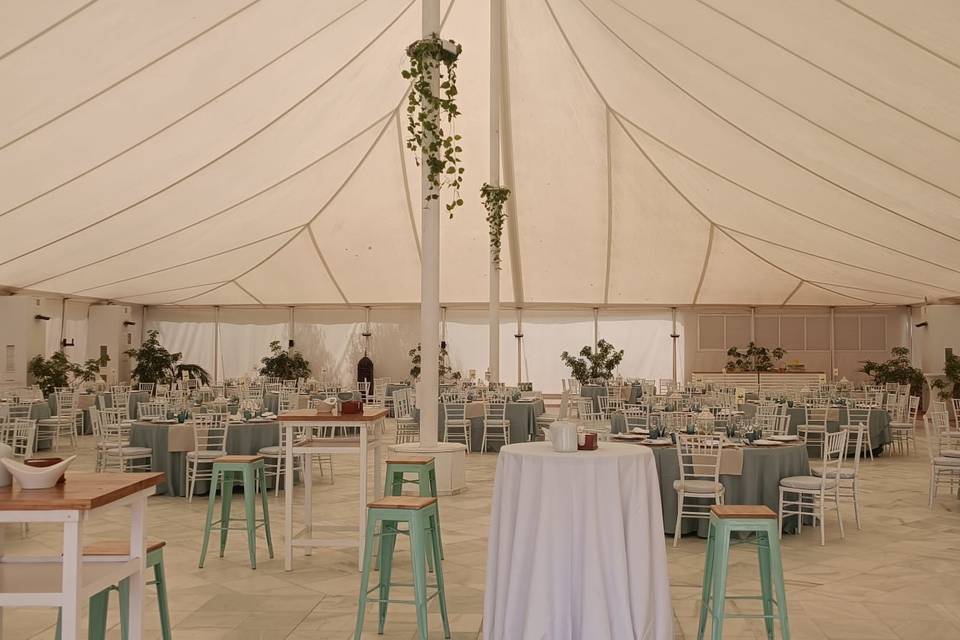 Interior carpa