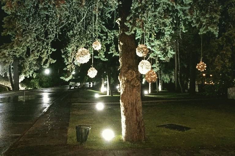 Árbol iluminado