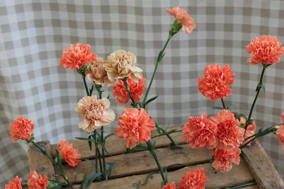 Decoración rincón