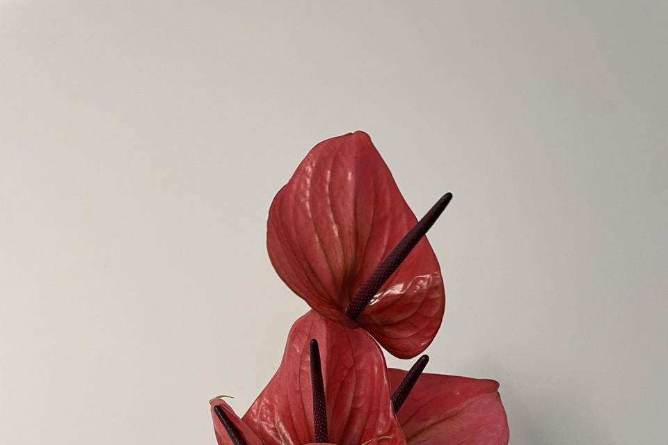 Ramo para regalo de invitadas