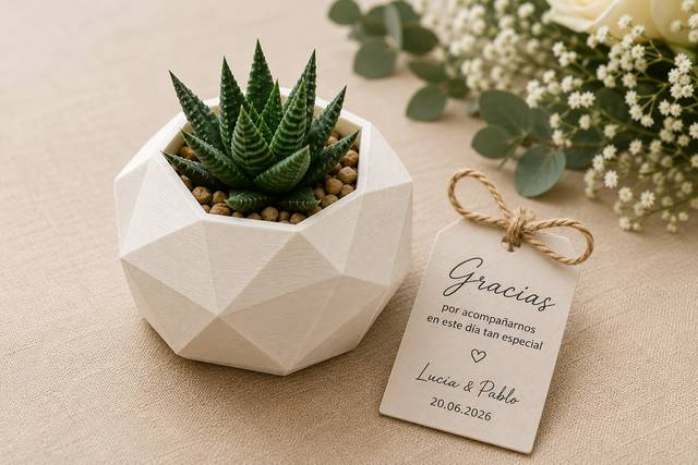 EcoLove: Maceta Decorativa