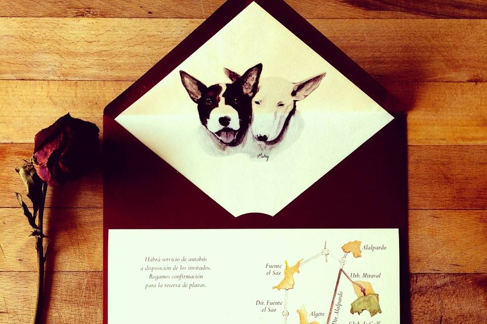 Plano ilustrado