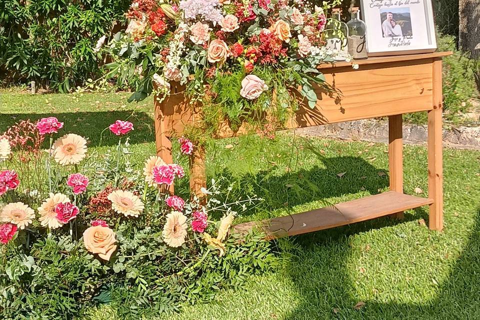 Los jardines del cardador