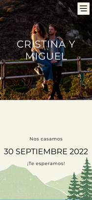 Diseño Vintage Mountain
